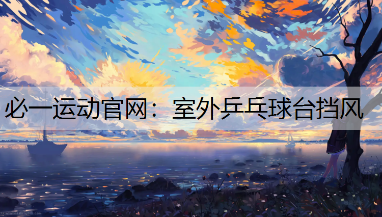 室外乒乓球台挡风