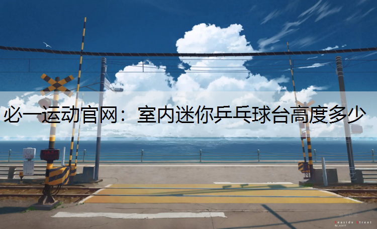 室内迷你乒乓球台高度多少