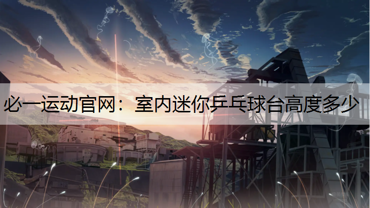 室内迷你乒乓球台高度多少