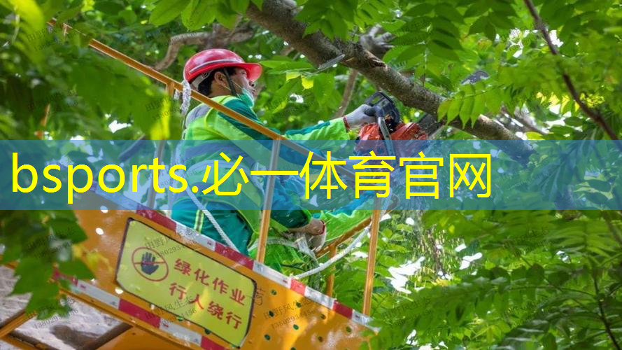 全回弹网球拍怎么选尺寸