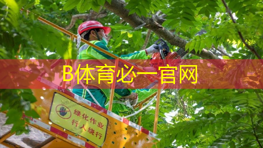怎么选购儿童网球拍型号