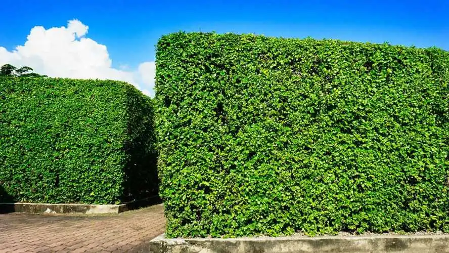 更聚焦用户需求！塑胶跑道材料新国标引领行业质量提升！