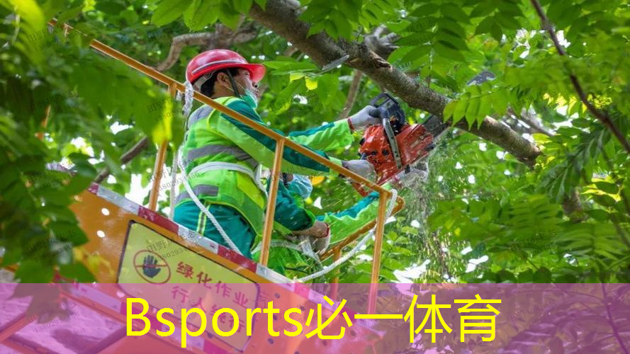 幼儿足球常用器材名称有哪些